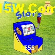 Premium Interface U555